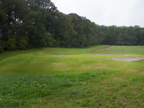 049 Seeded Wetland Pond
